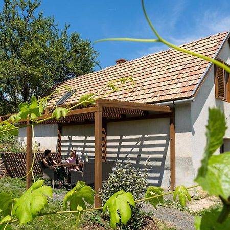 Tagyon Birtok Mandula Apartmanház Exterior foto