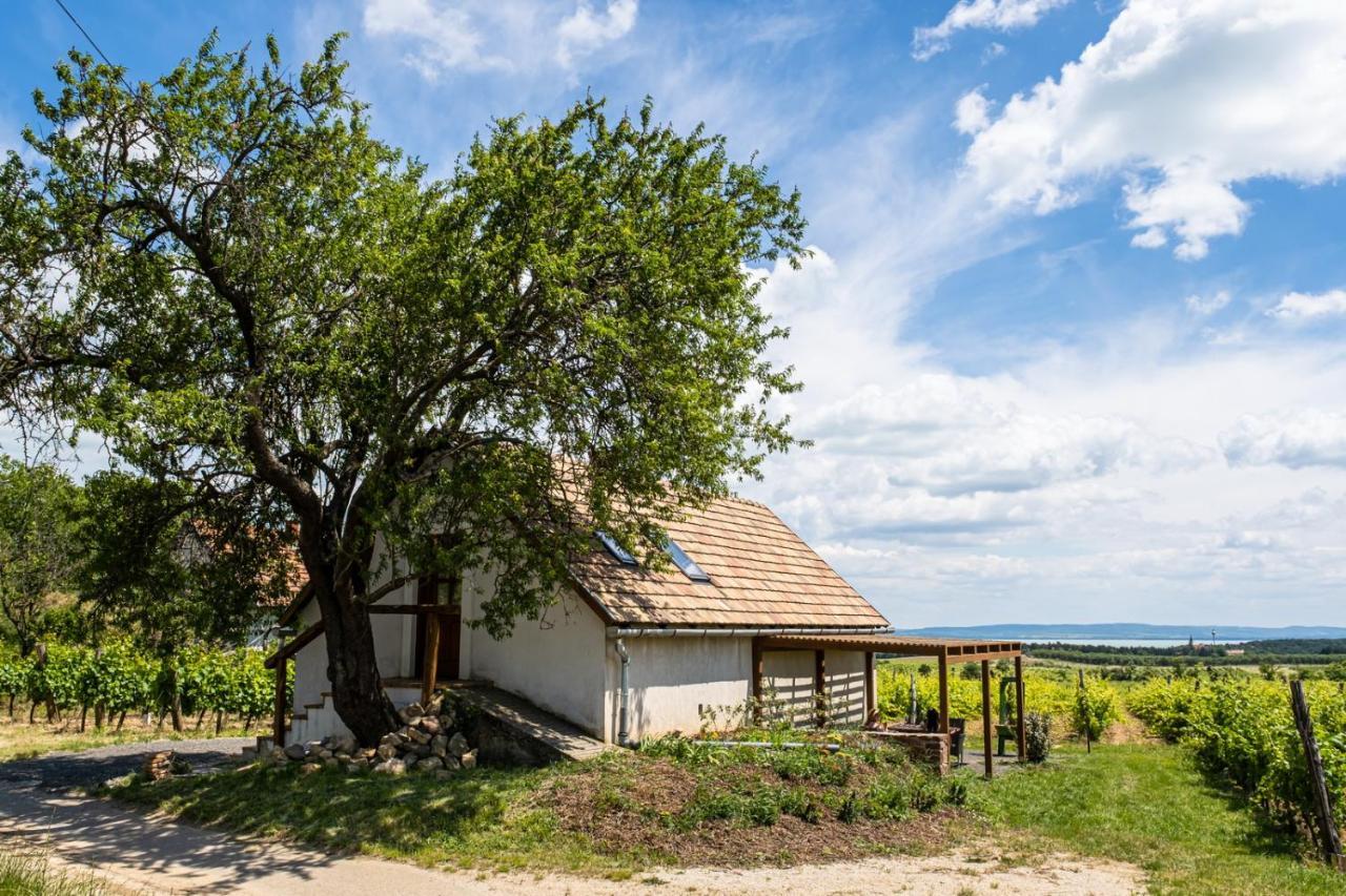 Tagyon Birtok Mandula Apartmanház Exterior foto