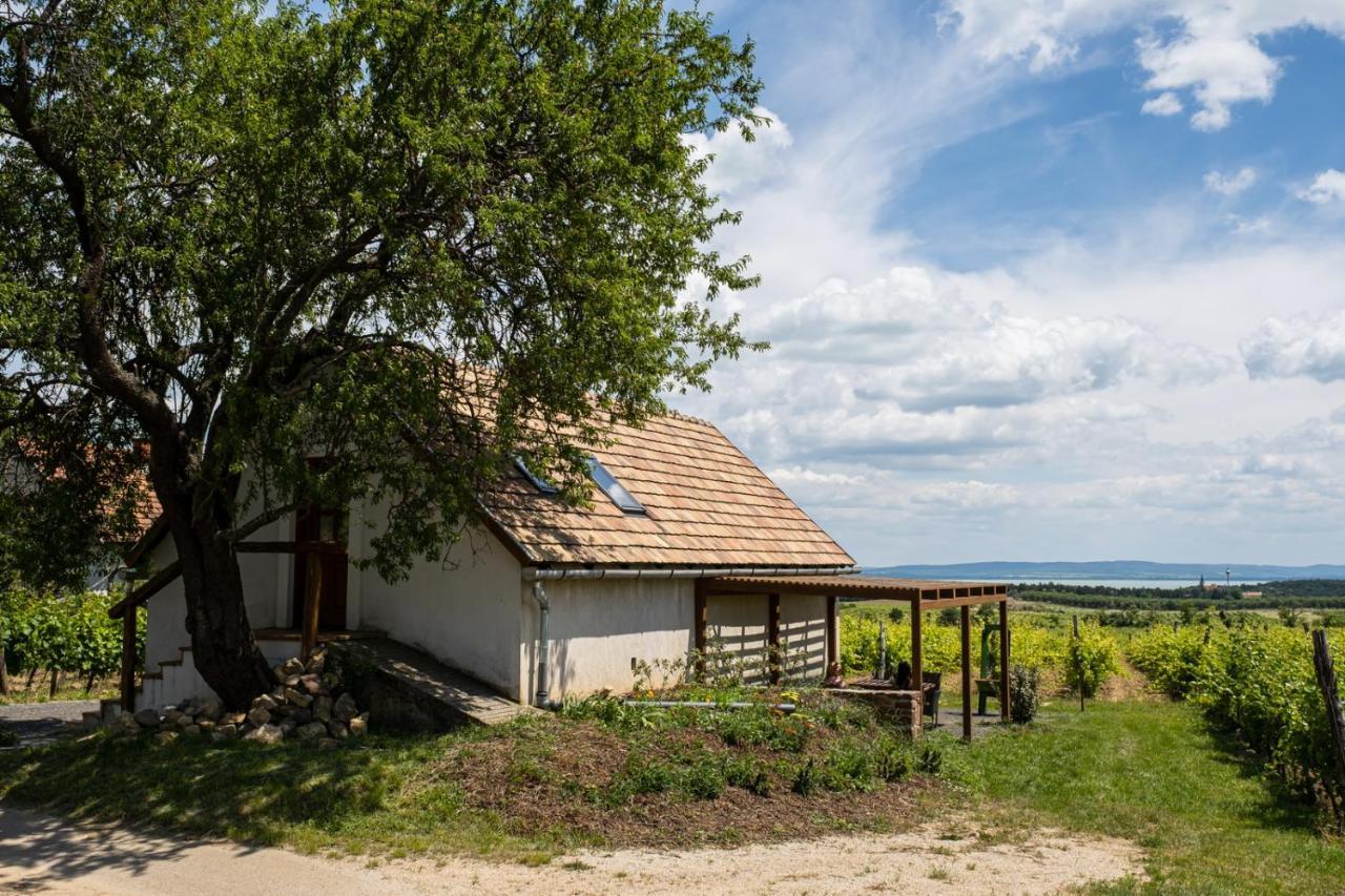 Tagyon Birtok Mandula Apartmanház Exterior foto